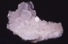 Halitsalz (1000g) Halitsalz